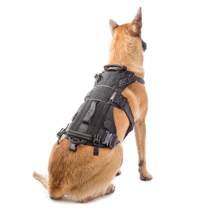 CANINE ADJUSTABLE HARNESS