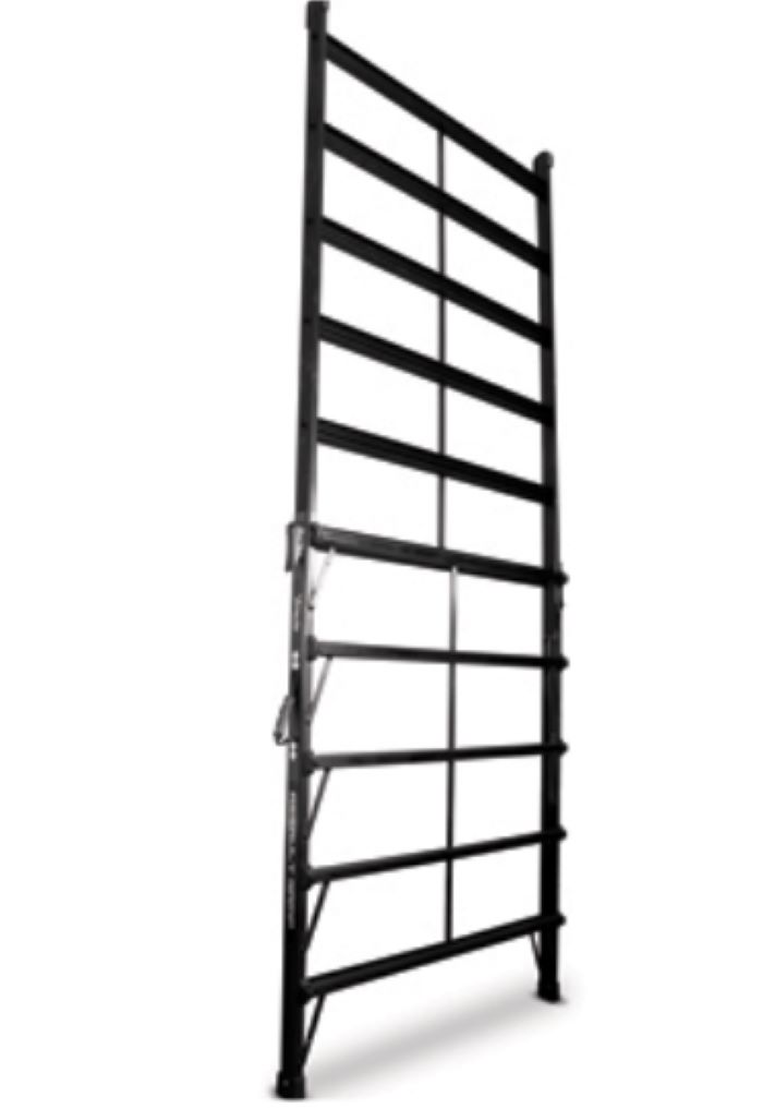 ASSAULT LADDER