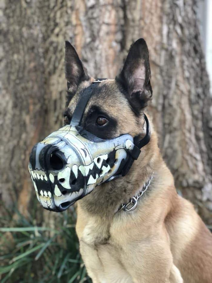 DOG MUZZLE