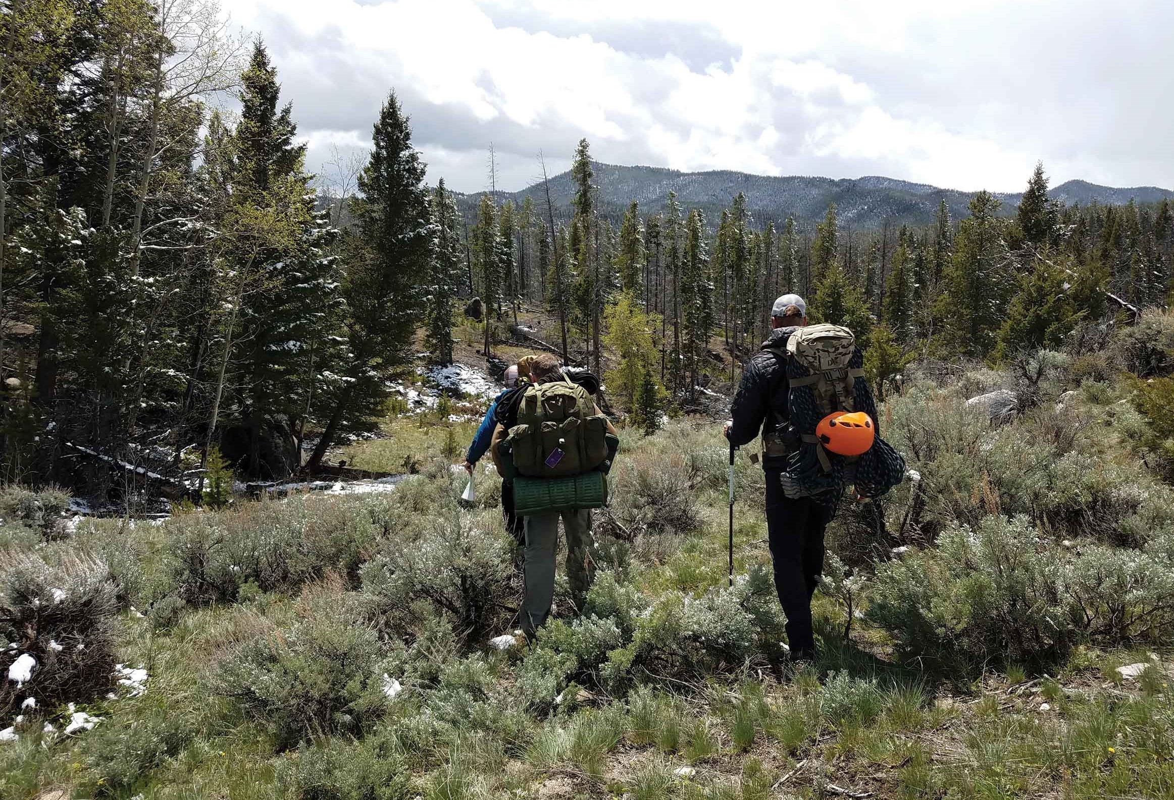 BACKCOUNTRY MOVEMENT