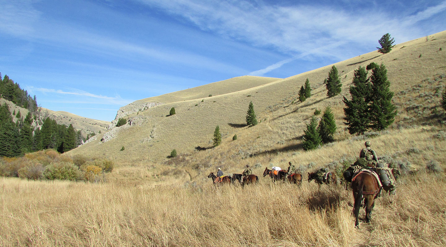 PACK ANIMAL OPERATIONS